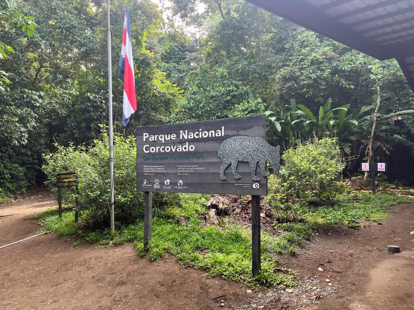 Fauna del Parque Nacional Corcovado, Costa Rica
