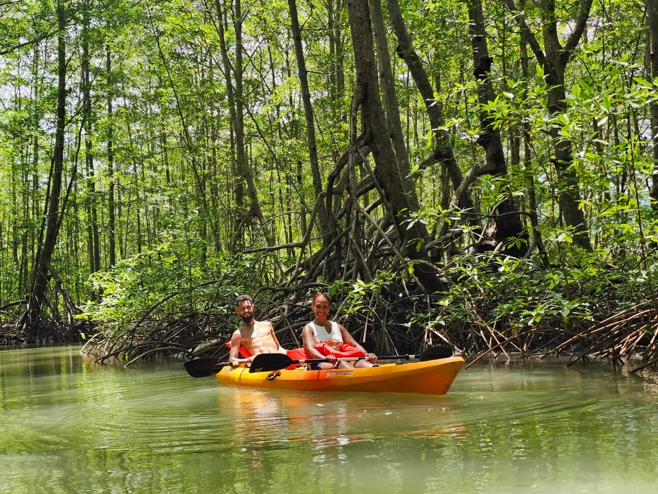 Tour en kayak por los manglares de Uvita