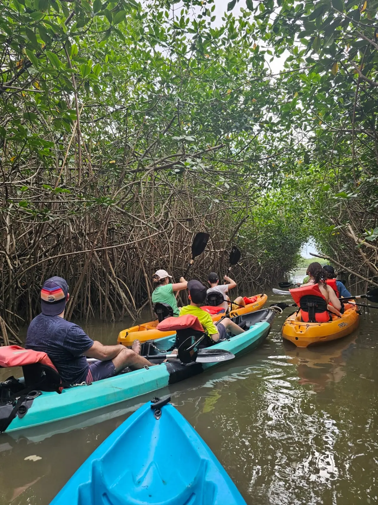 Tour en kayak por los manglares de Uvita, Costa Rica