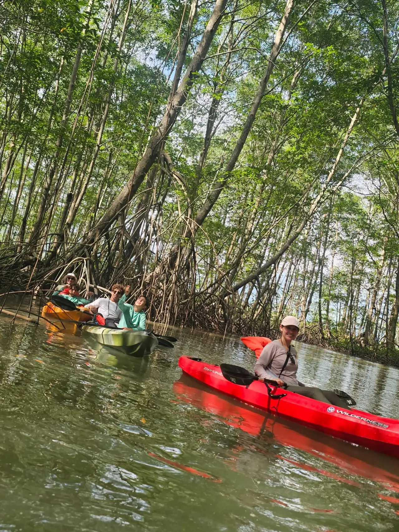 Kayak navegando los manglares de la Costa Ballena