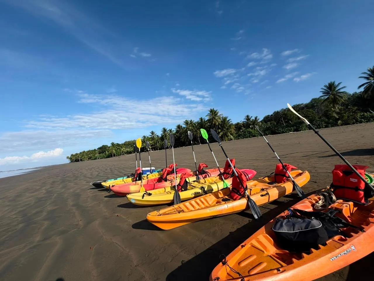 Tour en kayak por los manglares de Uvita